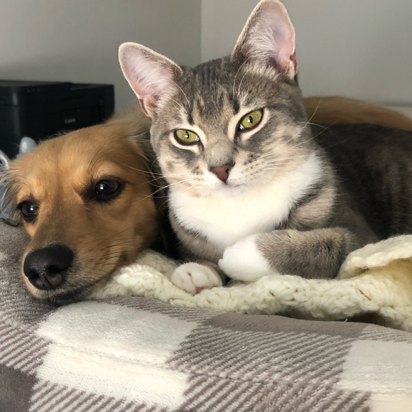 Meet your Posher, Jennie - Picture 6 of 10